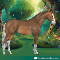 Horse Color:Silver Buckskin Splash
