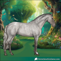 Horse Color:Silver Blue Roan Appaloosa 