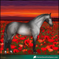 Horse Color:Gray Brown 
