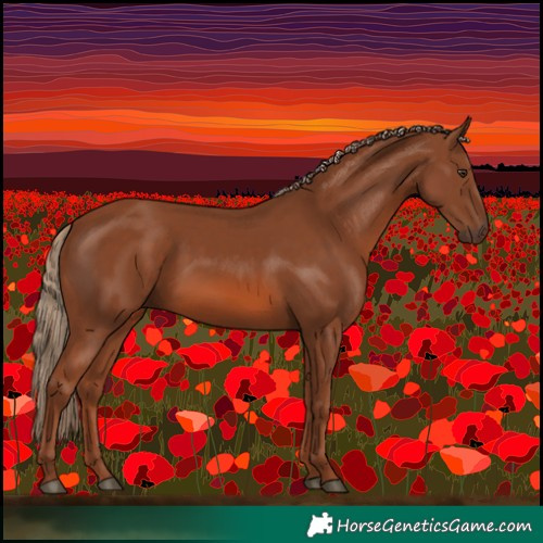 Horse Color:Chestnut 