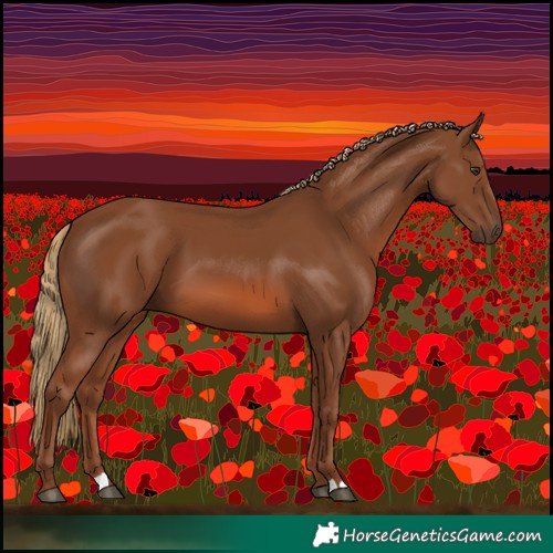 Horse Color:Chestnut 