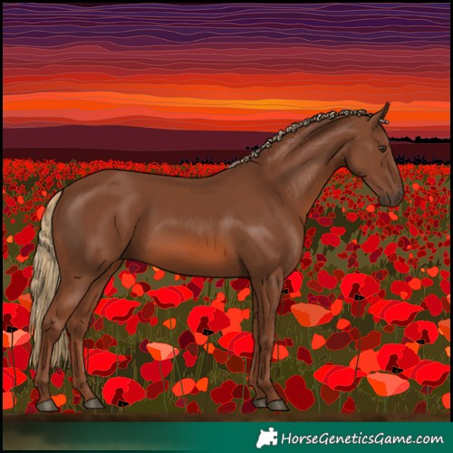 Horse Color:Chestnut 