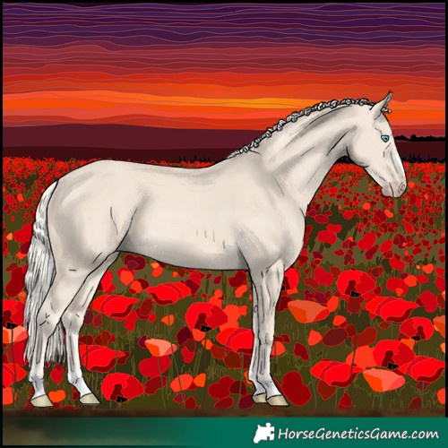 Horse Color:Cremello 