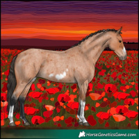 Horse Color:Bay Roan Tobiano Frame 