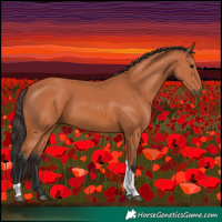 Horse Color:Bay Tobiano