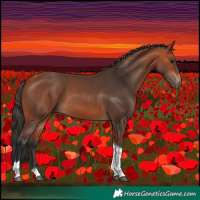 Horse Color:Bay Tobiano 