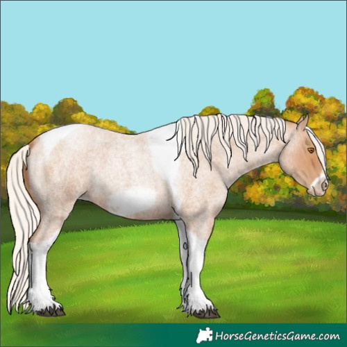 Horse Color:Silver Blue Roan Pearl Tobiano Frame 