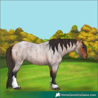 Horse Color:Bay Roan Tobiano Rabicano 
