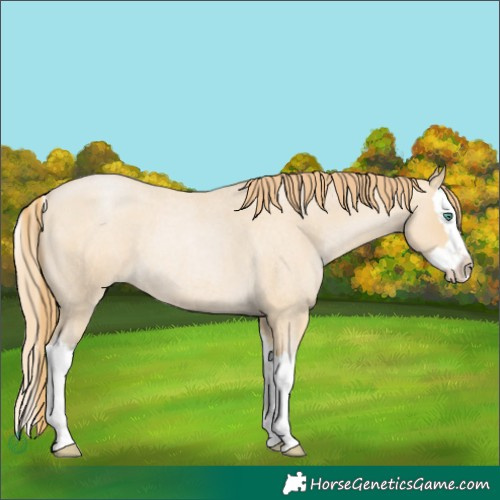 Horse Color:Smoky Blue Roan Pearl Splash 