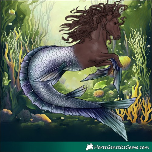Horse Color:Chocolate Black
