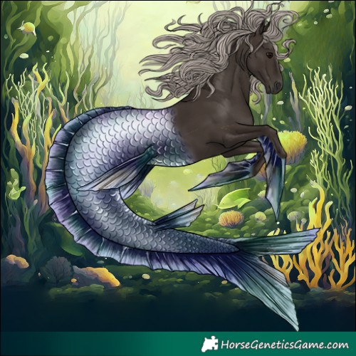 Horse Color:Gray Silver Black Tobiano 