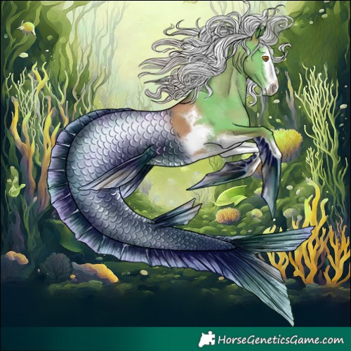 Horse Color:Silver Classic Champagne Splash Tobiano Appaloosa 