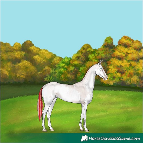 Horse Color:Powder White Platinum Painted Red Onyx Pearl Splash