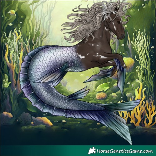 Horse Color:Gray White Spotted Silver Black Tobiano 