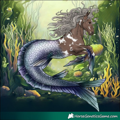 Horse Color:White Spotted Silver Black 