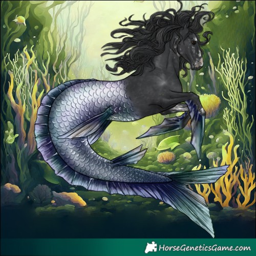 Horse Color:White Spotted Black