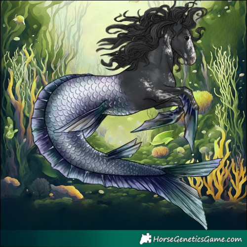 Horse Color:White Spotted Black