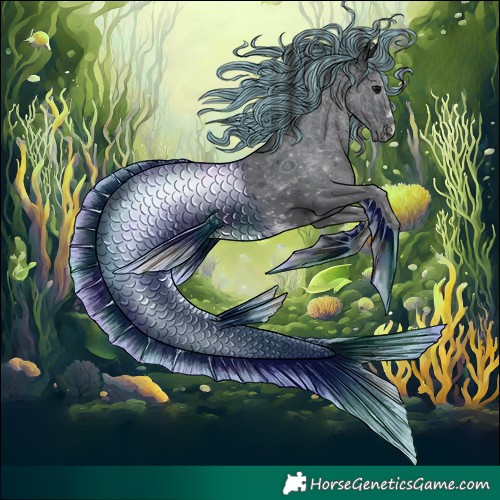 Horse Color:Painted White Spotted Black Merle