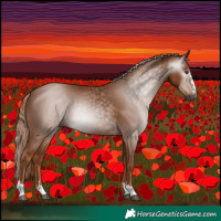 Horse Color:Gray Chestnut