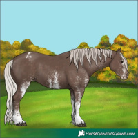 Horse Color:White Spotted Silver Black Tobiano Appaloosa 