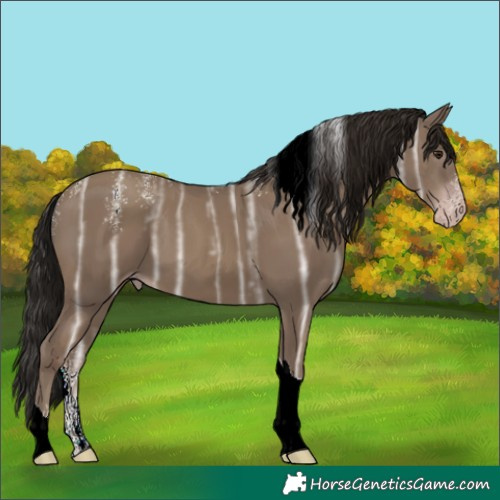 Horse Color:Powder White Gray Classic Champagne Ice Tobiano 