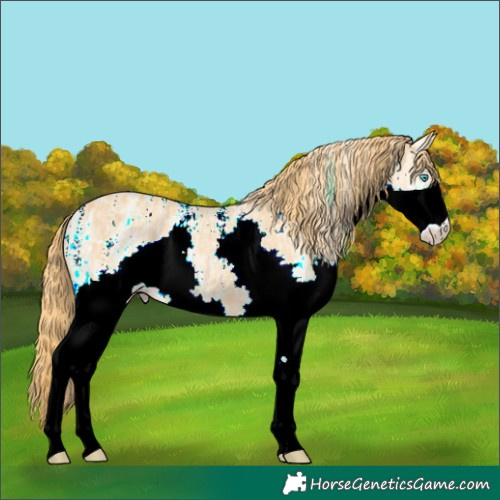 Horse Color:Powder White Chestnut Ice Splash 