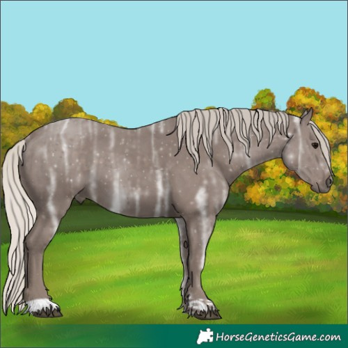 Horse Color:Silver Black Ice 