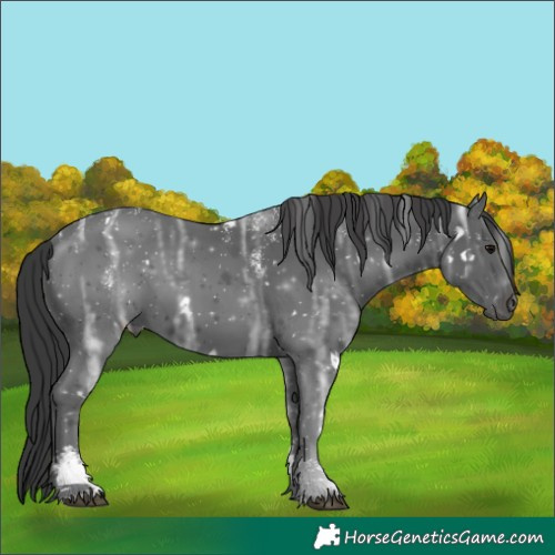 Horse Color:Powder White White Spotted Black Ice 