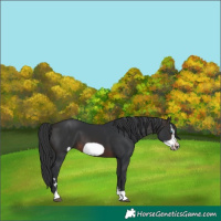 Horse Color:Brown Frame 