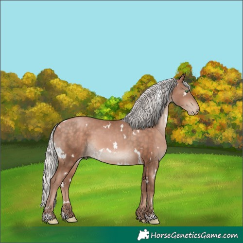 Horse Color:White Spotted Silver Brown Pearl Mushroom