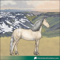 Horse Color:White Spotted Silver Smoky Grullo Pearl Mushroom Rabicano 