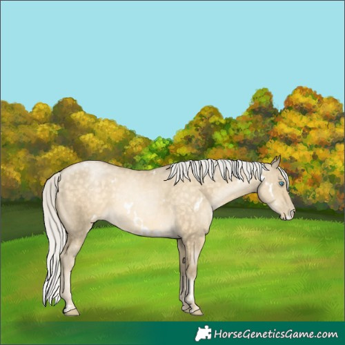 Horse Color:White Spotted Silver Buckskin Pearl Dun Mushroom 