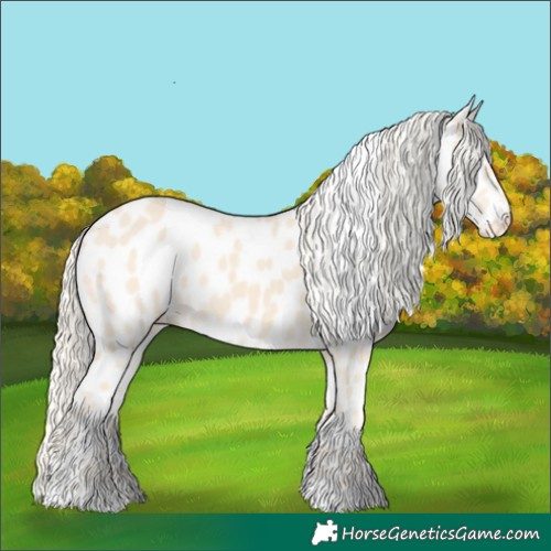Horse Color:Cremello Appaloosa 
