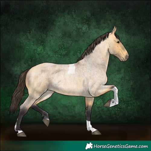 Horse Color:Buckskin Roan Tobiano 