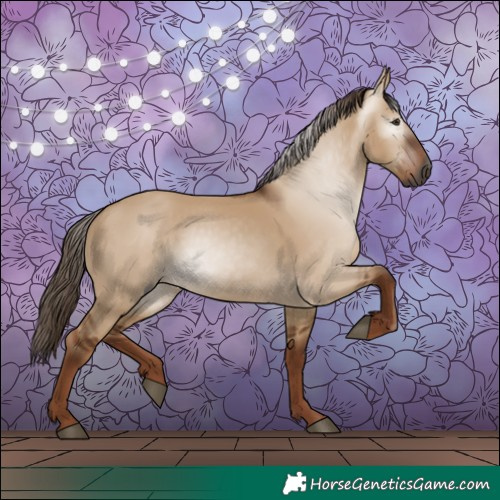 Horse Color:Gray Red Dun 