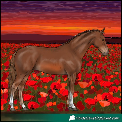 Horse Color:Chestnut Tobiano 