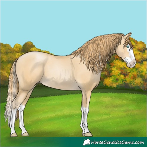 Horse Color:Smoky Black Pearl Splash 