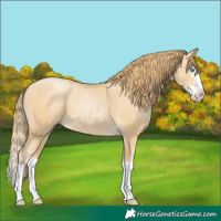 Horse Color:Smoky Black Pearl Splash