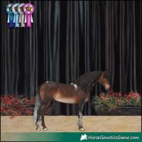 Horse Color:Brown Tobiano 