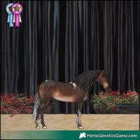 Horse Color:Brown Tobiano 
