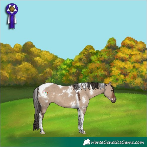 Horse Color:White Spotted Liver Red Dun Tobiano 