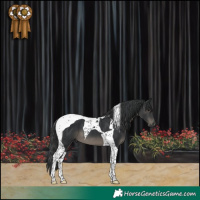 Horse Color:Black Tobiano 