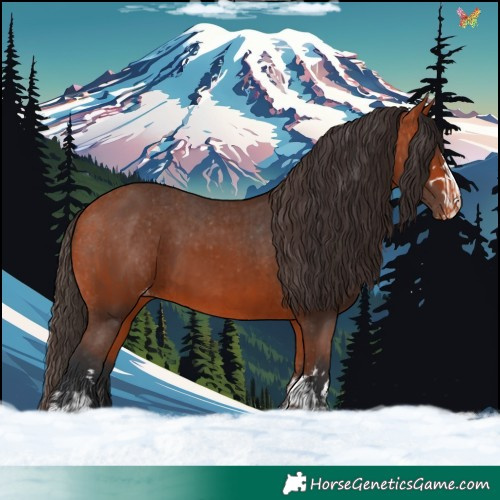 Horse Color:Bay Varnish and Bay Varnish