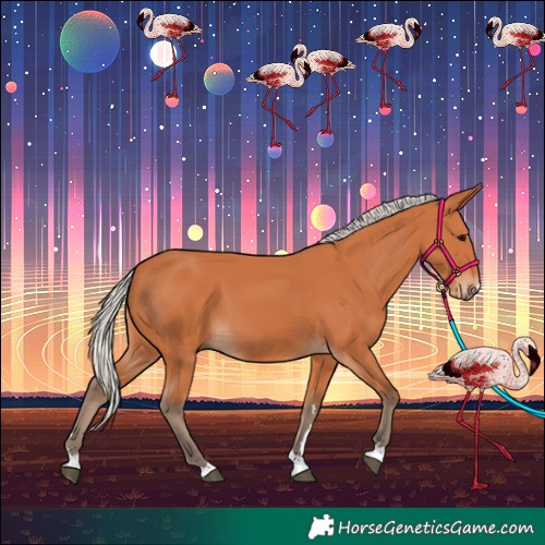 Horse Color:Silver Bay 