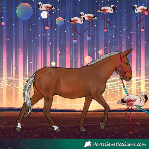 Horse Color:Silver Bay 