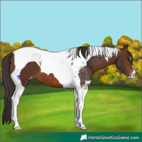 Horse Color:Brown Tobiano Varnish