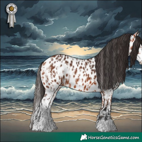 Horse Color:Bay Appaloosa  and Bay Splash Appaloosa 
