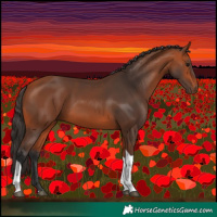 Horse Color:Bay Tobiano