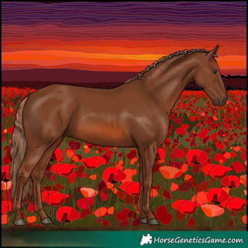 Horse Color:Chestnut 