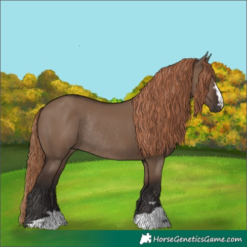 Horse Color:Liver Red Dun Rabicano